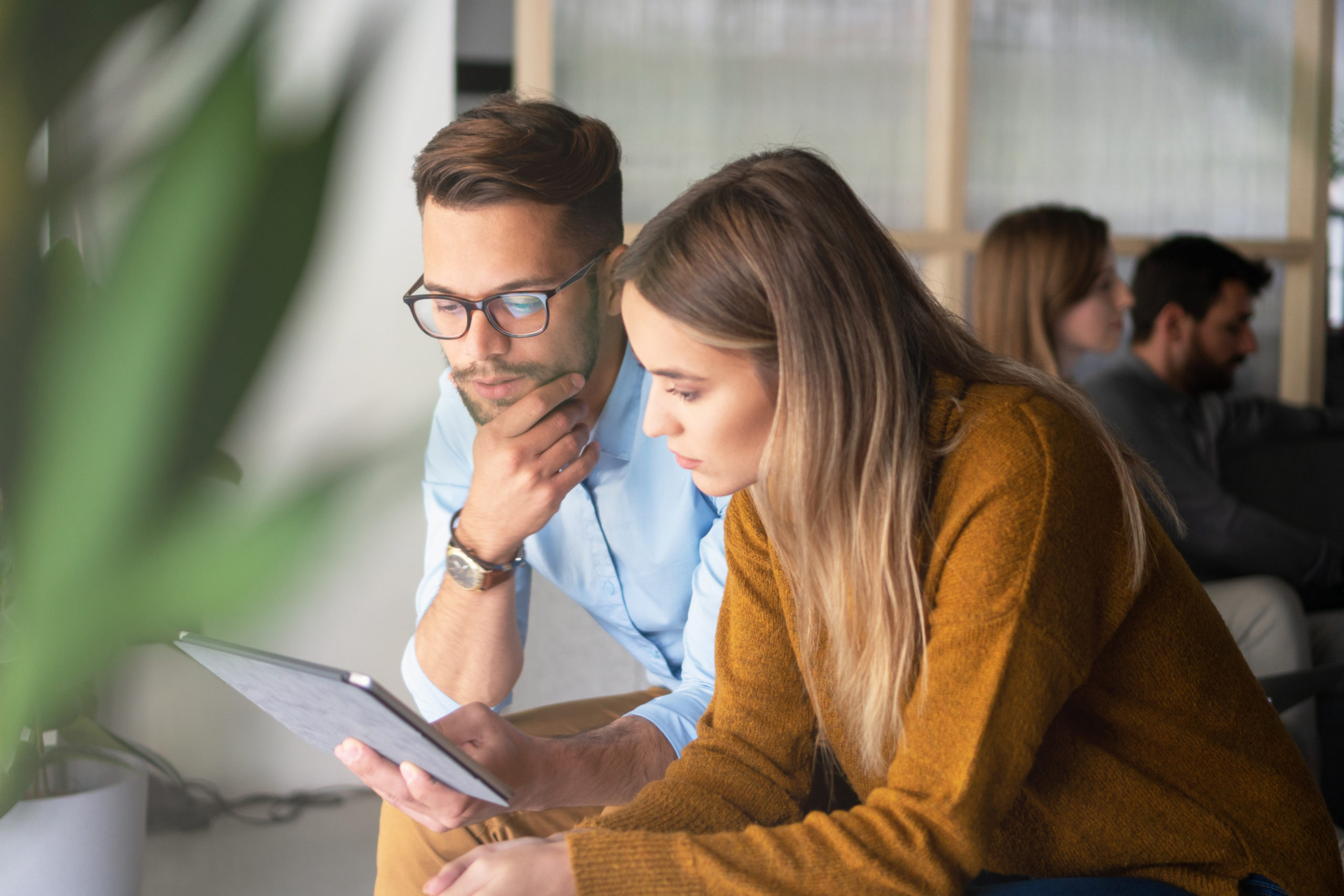 Start Up Loans